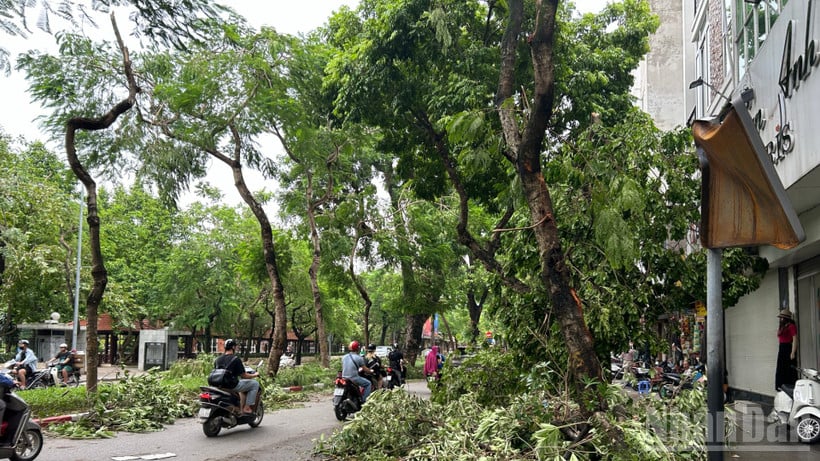 (រូបភាព៖ ធុយ លីញ)