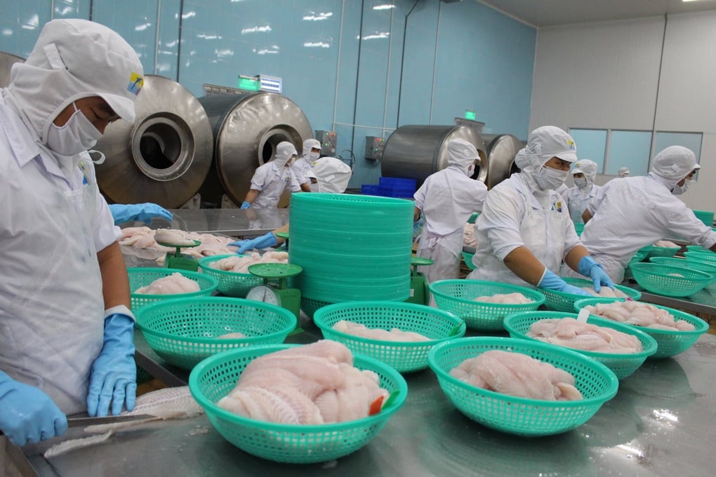 Cá tra Việt Nam lần đầu góp mặt trong thực đơn sushi Nhật Bản - 1