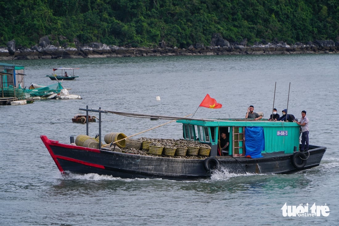 Đặc khu Vân Đồn tất bật trước bão Ragasa, lực lượng cứu hộ đã sẵn sàng - Ảnh 3.
