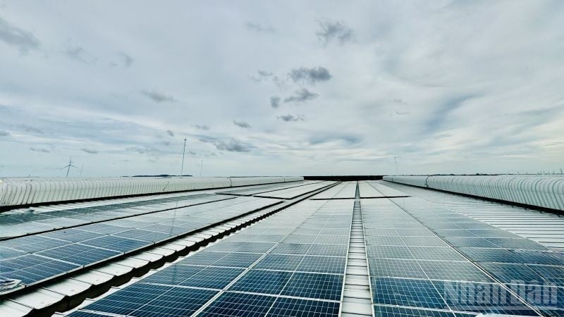 Solární elektrárna na střeše v průmyslovém parku DEEP C v Hai Phongu. (Foto: HNV)