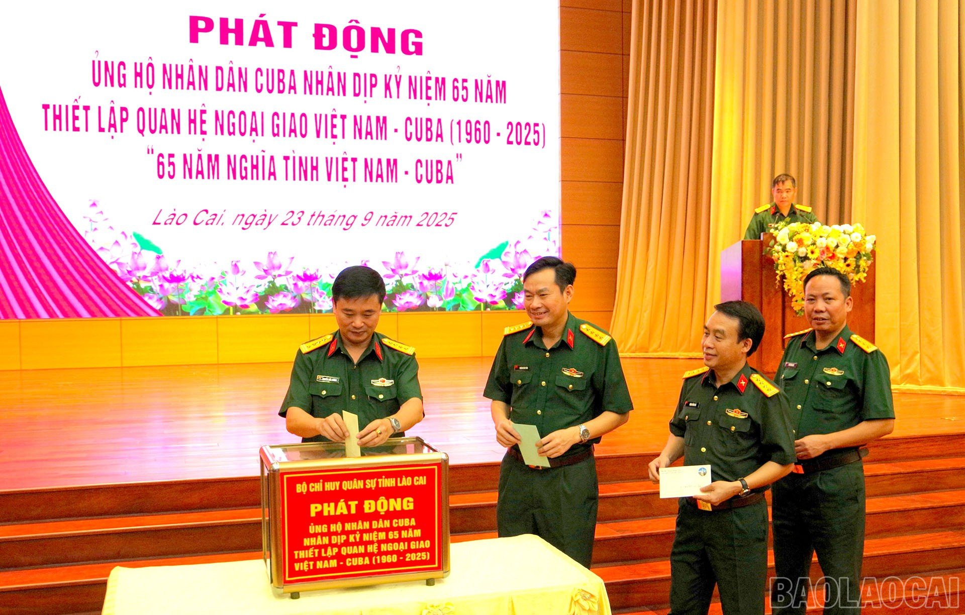 baolaocai-br_anh-3.jpg