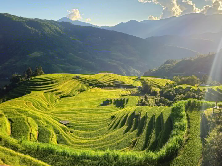Ruộng bậc thang Hoàng Su Phì được công nhận là di sản quốc gia. (Ảnh: Nguyễn Thanh Tùng)
