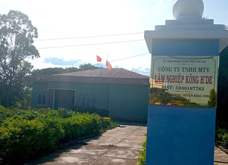 ក្រុមហ៊ុន Kong H'de Forestry One Member Co., Ltd. មានបំណុលចំនួន 221,617,700 ដុង ដែលជំពាក់ជាច្រើនឆ្នាំហើយមិនទាន់បានសង។