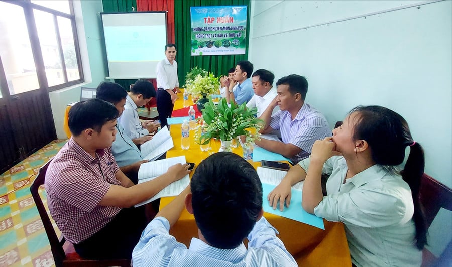 quang-canh-hoi-nghi-tap-huan-964.jpg