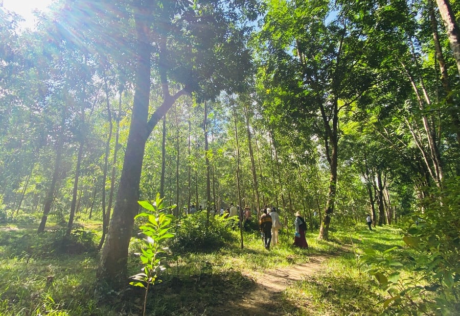 tuyen-truyen-bao-ve-rung.jpg