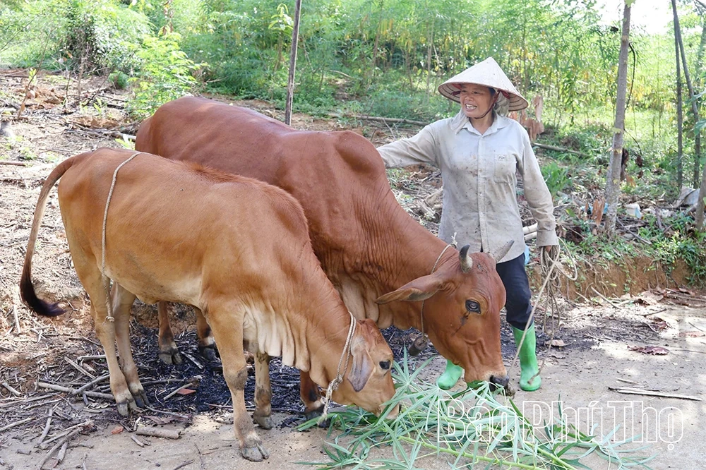 ឃុំតឹនសឺនខិតខំកាត់បន្ថយភាពក្រីក្រប្រកបដោយនិរន្តរភាព