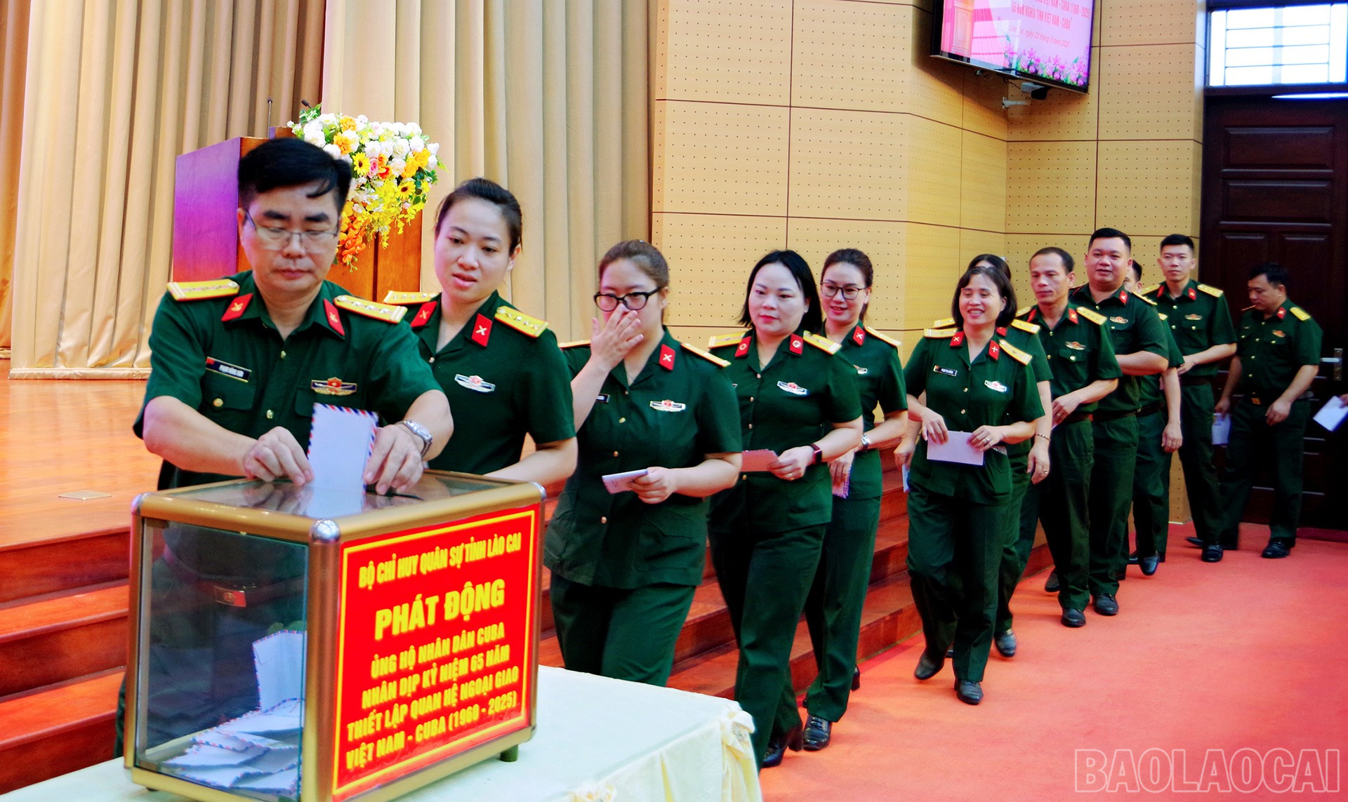 baolaocai-br_anh-6.jpg