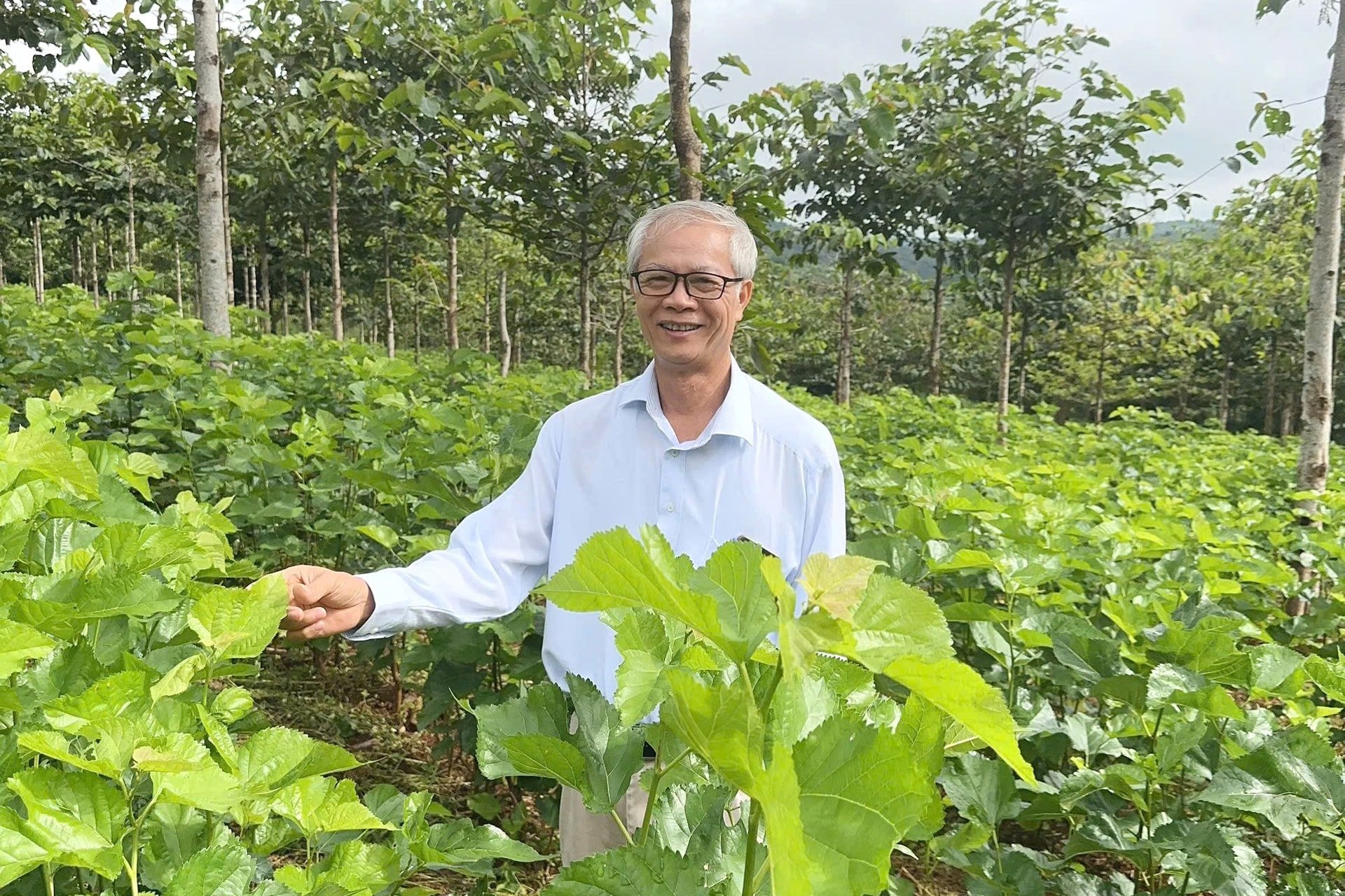 សួនផ្កាអាព្រិចនៅខេត្ត Duc An Tinh Lam Dong បានចាប់ផ្តើមតភ្ជាប់ជាមួយសមាគមទេសចរណ៍ និងសហគមន៍វៀតណាម ហើយបានធ្វើបច្ចុប្បន្នភាពដំណើរការផលិតខ្សែសង្វាក់ Lien 1.jpg