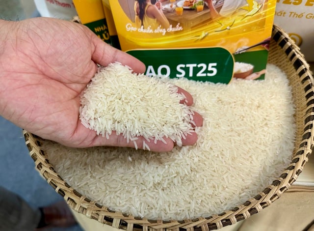 Philippines muốn kéo dài lệnh cấm nhập khẩu gạo- Ảnh 1.