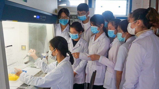 mong-diep.jpg