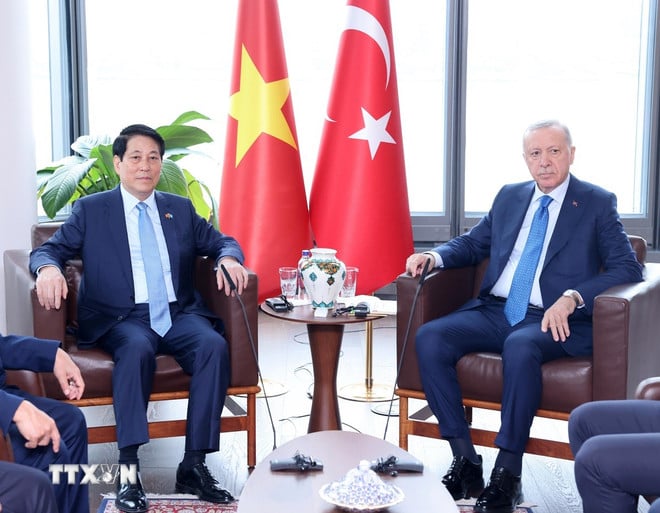 ttxvn-chu-tich-nuoc-luong-cuong-gap-tong-thong-tho-nhi-ky-1.jpg