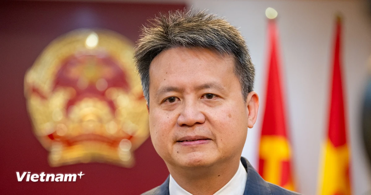 Tổng Giám đốc WIPO: Đổi mới sáng tạo giống như con sông chảy từ núi ra đến biển