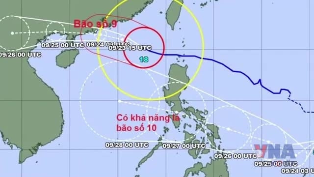 Đêm 26/9, bão Bualoi sẽ đi vào khu vực giữa Biển Đông.
