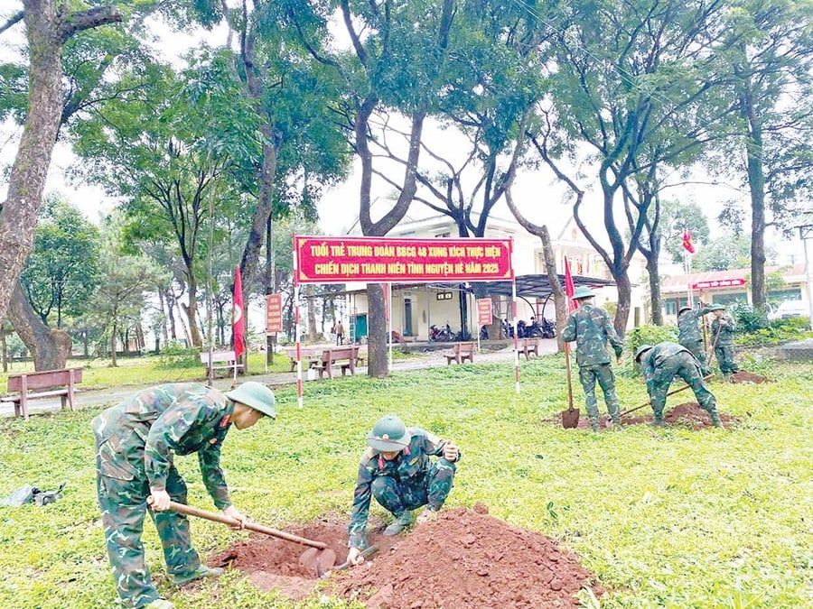Cán bộ, chiến sĩ Quân đoàn 34 giúp xã Gào trồng cây xanh.