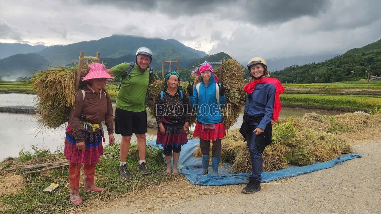 baolaocai-c_z7042695845650-6cd8b064afd5564f33f13871382ebc54.jpg