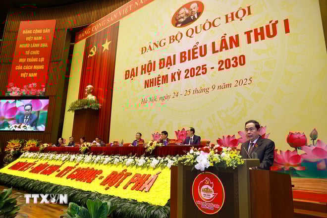 ttxvn-dang-bo-quoc-hoi-5.jpg