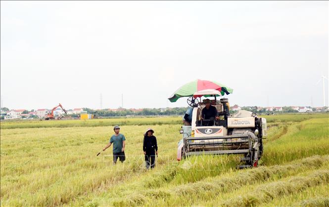 ចំណងជើងរូបថត