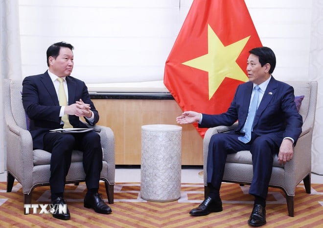 ttxvn-chu-tich-nuoc-luong-cuong-tiep-chu-tich-tap-doan-sk-han-quoc-1.jpg