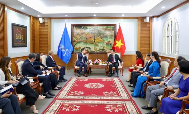 Bộ trưởng Nguyễn Văn Hùng tiếp Tổng Giám đốc Tổ chức Sở hữu trí tuệ Thế giới Daren Tang - Ảnh 1.