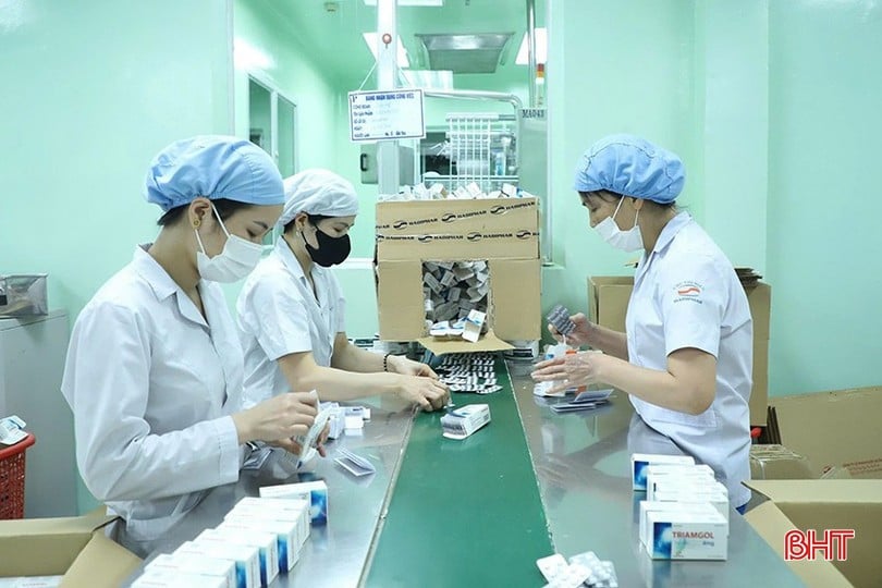 image-6.jpg