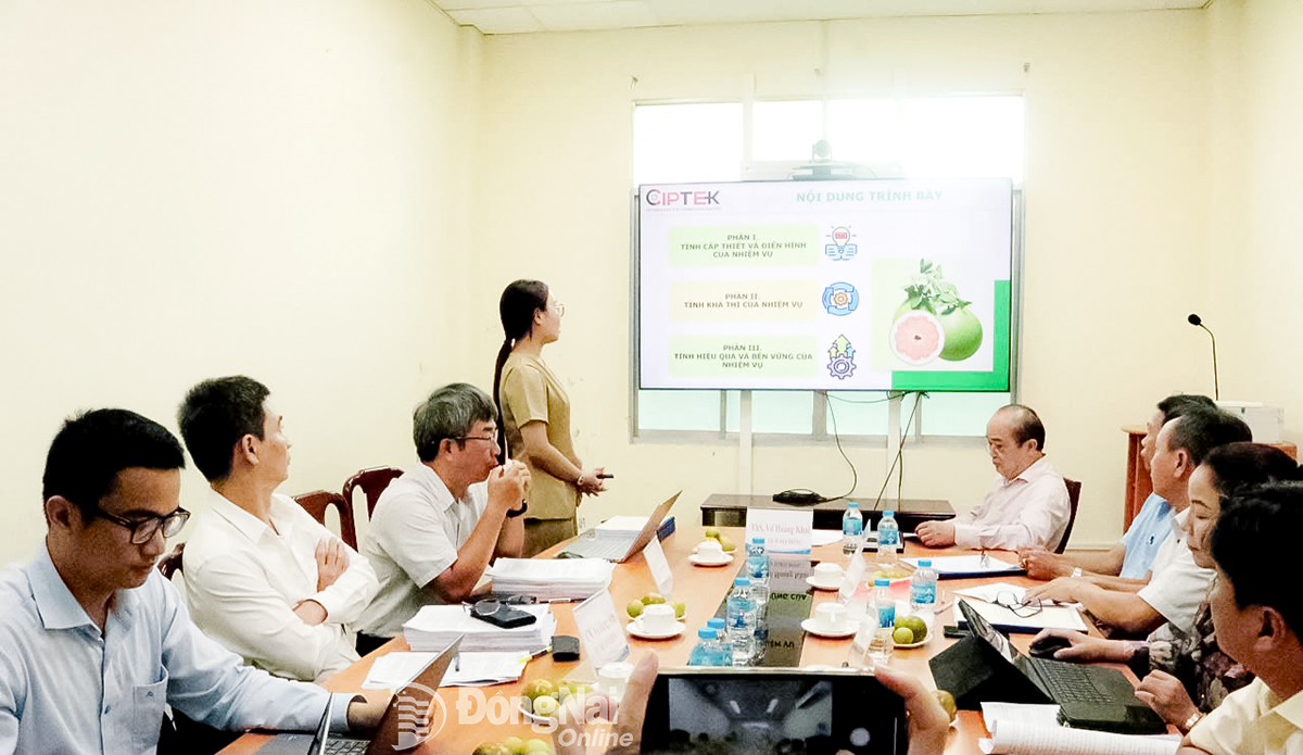 អង្គភាពអនុវត្តការងាររាយការណ៍ និងពន្យល់កិច្ចការជូនក្រុមប្រឹក្សា។ រូបថត៖ ផាម សែន 