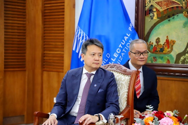 Bộ trưởng Nguyễn Văn Hùng tiếp Tổng Giám đốc Tổ chức Sở hữu trí tuệ Thế giới Daren Tang - Ảnh 4.