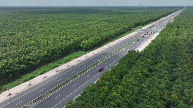 Bất động sản 