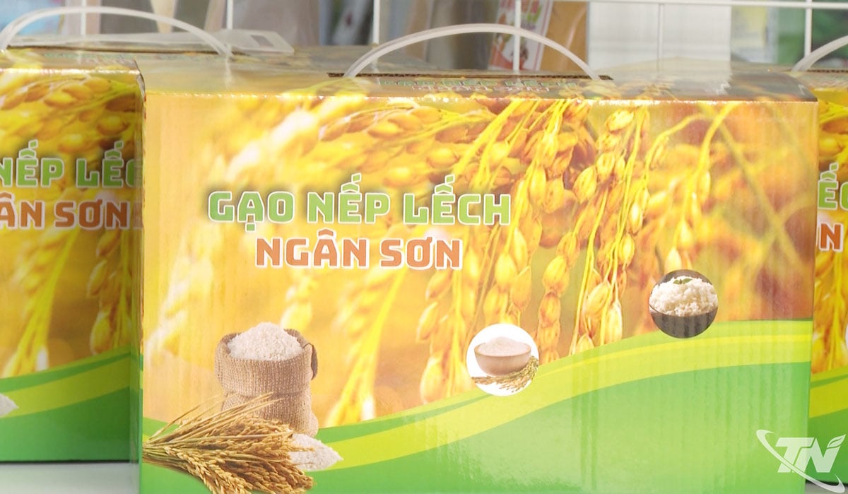 ផលិតផលអង្ករពិសេសរបស់ Ngan Son មានភាពល្បីល្បាញដោយសារក្លិនក្រអូប និងភាពស្អិតរបស់វា សាកសមសម្រាប់ធ្វើនំ។