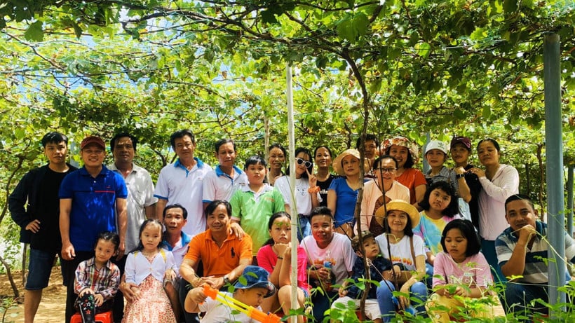 पर्यटक बे थियेट वाइनयार्ड (थान हाई कम्यून, विन्ह लांग प्रांत) का दौरा करते हैं।