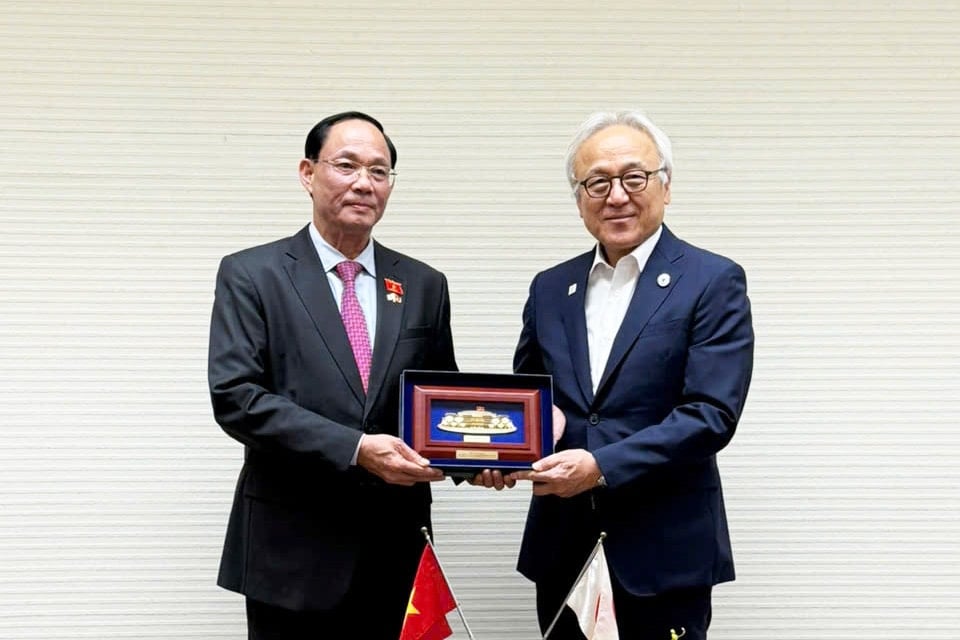 p1.jpg