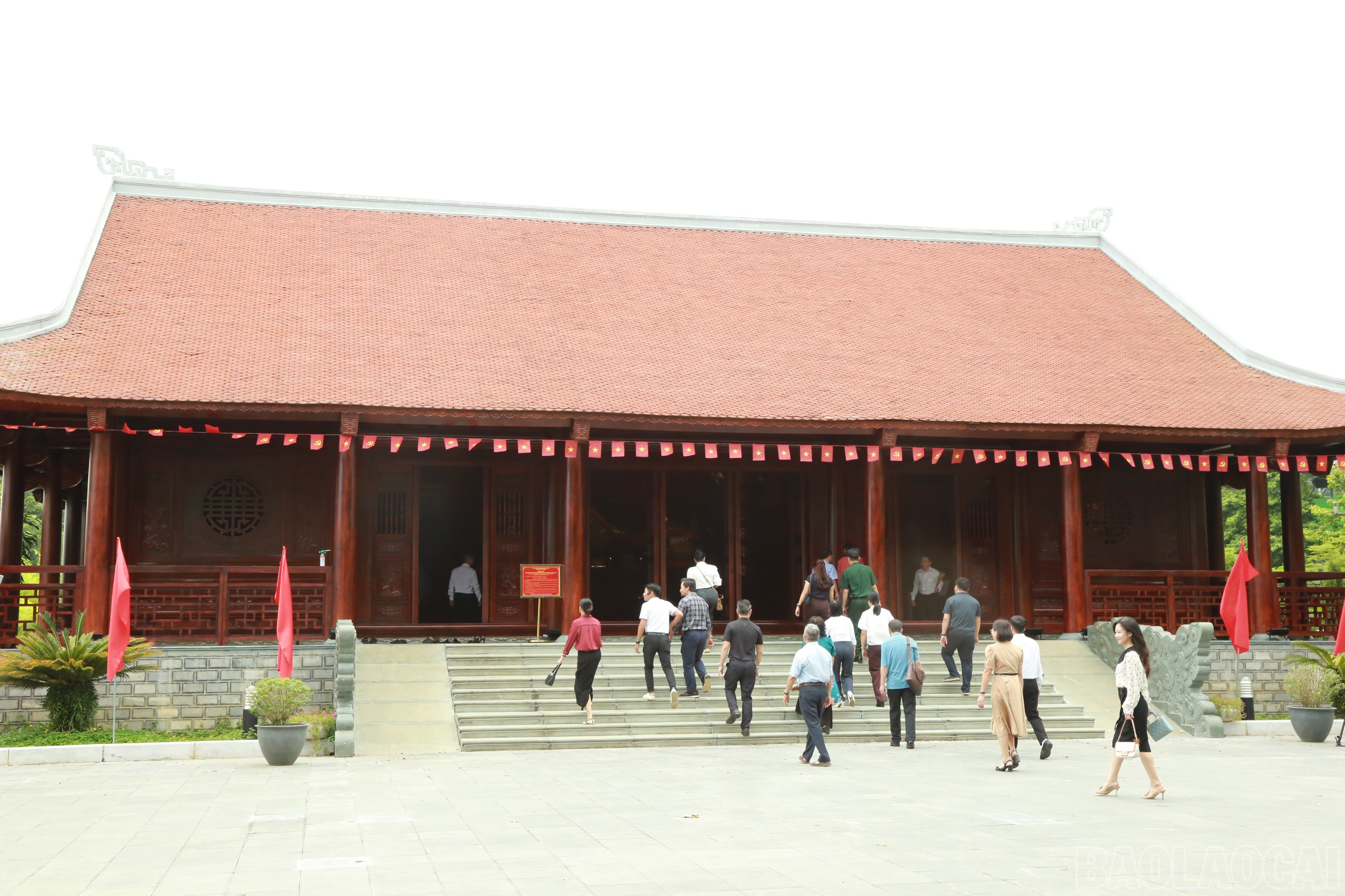 baolaocai-br_6.jpg