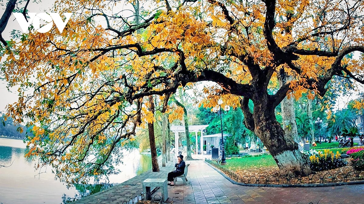 Hà Nội lọt top 7 điểm đến mùa thu đẹp nhất châu Á - Ảnh 1.
