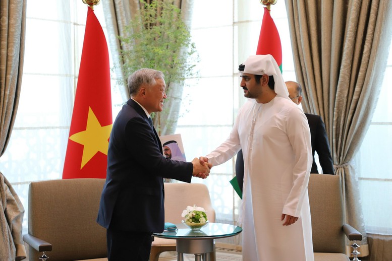 UAE sẵn sàng chia sẻ kinh nghiệm, hỗ trợ xây dựng trung tâm tài chính quốc tế tại Việt Nam- Ảnh 1.