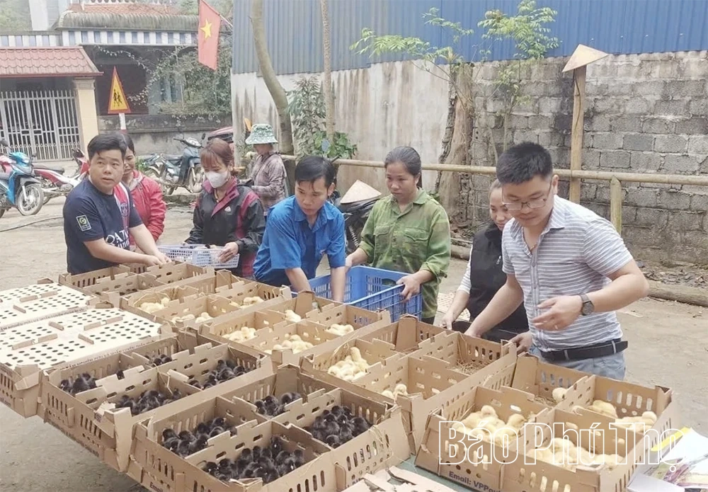 បើកដំណើរការអភិវឌ្ឍន៍ប្រកបដោយចីរភាពសម្រាប់ផលិតផលកសិកម្មក្នុងស្រុក
