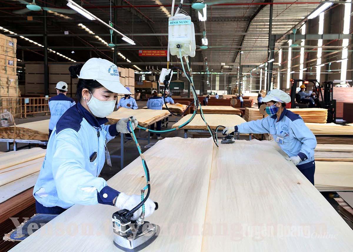 Perusahaan Saham Gabungan Woodsland Tuyen Quang menarik banyak pekerja terampil untuk bekerja.