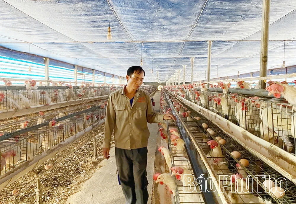 agribank-tam-dao-channel-dan-von-giup-nong-dan-mien-mien-hieu-qua-1.webp