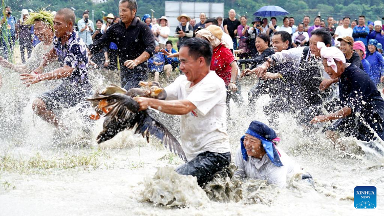 trung4.jpg
