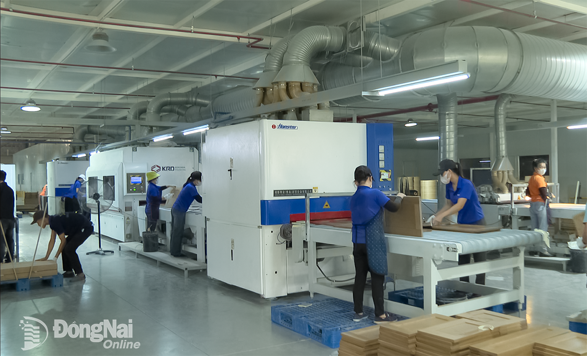 Doanh nghiệp đầu tư thiết bị, máy móc hiện đại để hoạt động hiệu quả, phát triển bền vững.