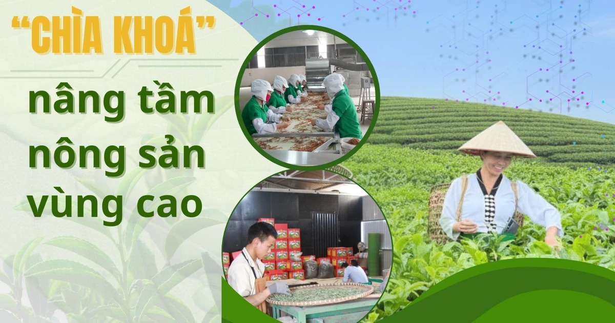 “Chìa khóa" nâng tầm nông sản vùng cao