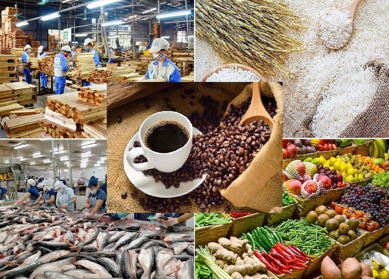 Hoàn thiện Hồ sơ Đề án đánh giá tình hình thực hiện Nghị quyết số 19-NQ/TW về nông nghiệp, nông dân, nông thôn- Ảnh 1.
