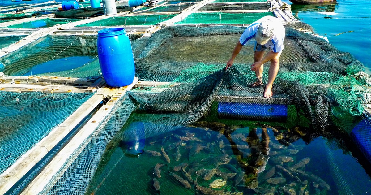 Lợi ích “kép” từ nuôi thủy sản kết hợp du lịch