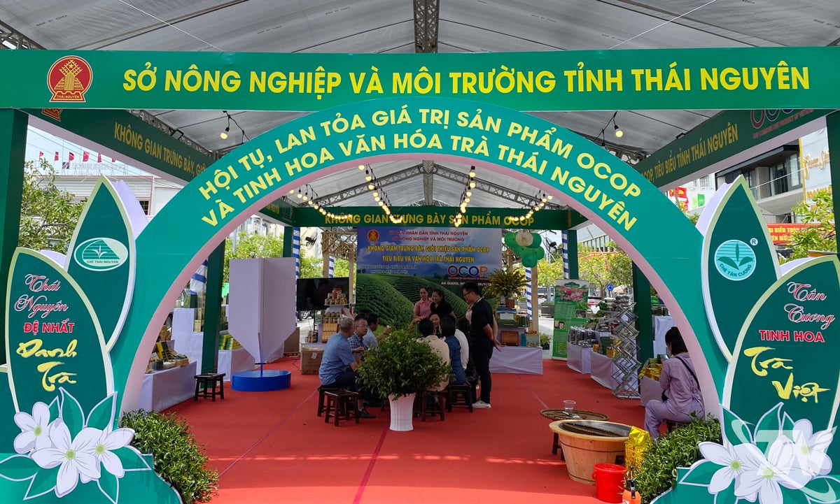 កន្លែងសម្រាប់បង្ហាញ និងណែនាំផលិតផល OCOP ធម្មតា និងវប្បធម៌តែ Thai Nguyen។