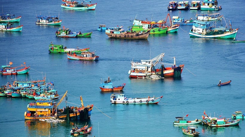 Doanh nghiệp thủy sản đồng hành cùng Chính phủ giữ vững uy tín và thị trường xuất khẩu.