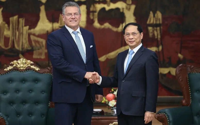 Phó Thủ tướng Chính phủ Bùi Thanh Sơn tiếp Cao ủy Thương mại và An ninh kinh tế của Liên minh châu Âu (EU) Maros Sefcovic - Ảnh: VGP