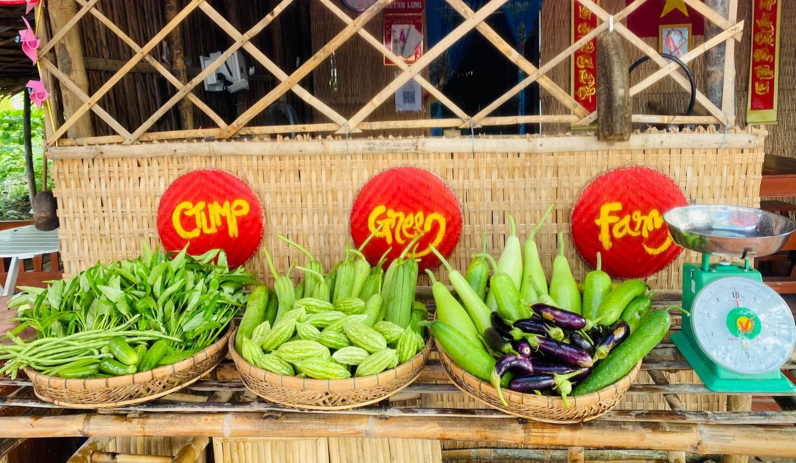 Bất ngờ với vườn rau sạch tự cung, thầy cô và sinh viên cùng chăm sóc - Ảnh 7.