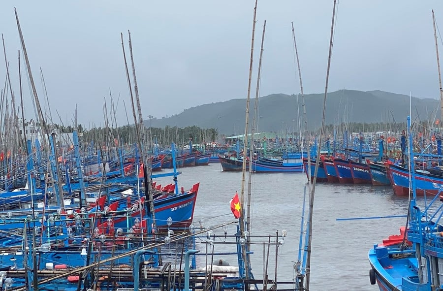 ngu-dan-hoai-nhon.jpg