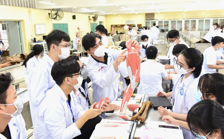 Bộ Giáo dục và Đào tạo đề xuất mới về sắp xếp các trường đại học - Ảnh 1.