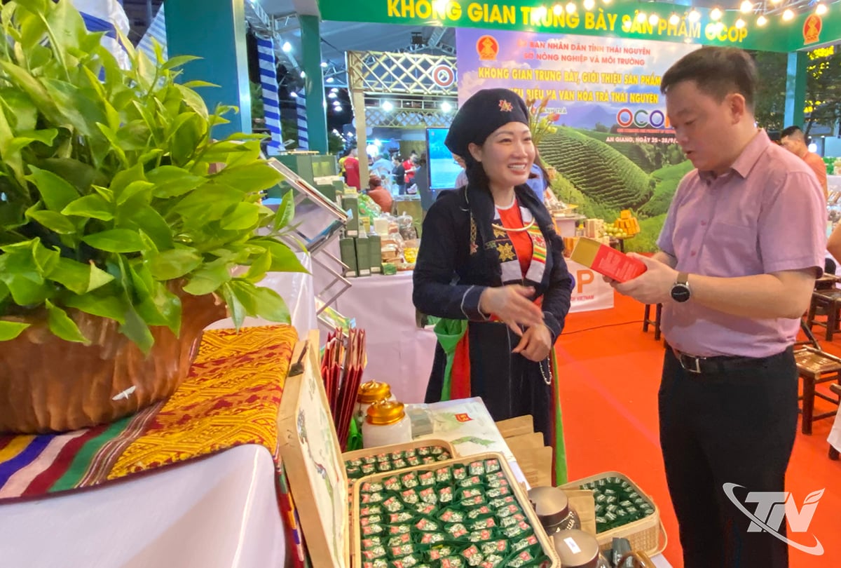 តែគឺជាផលិតផលដ៏រឹងមាំរបស់ខេត្ត Thai Nguyen ដែលទាក់ទាញចំណាប់អារម្មណ៍របស់អង្គភាព និងប្រជាជននៅតំបន់ដីសណ្ដទន្លេមេគង្គ។
