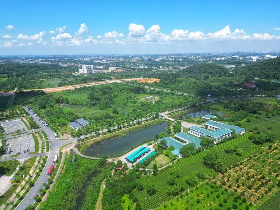 Sáp nhập đại học: Sẽ giải tán tất cả các trường yếu kém? - 3