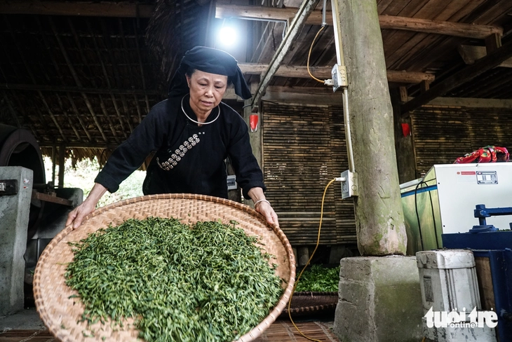 Phó thủ tướng Mai Văn Chính: Du lịch là nghệ thuật của sự kết nối - Ảnh 4.